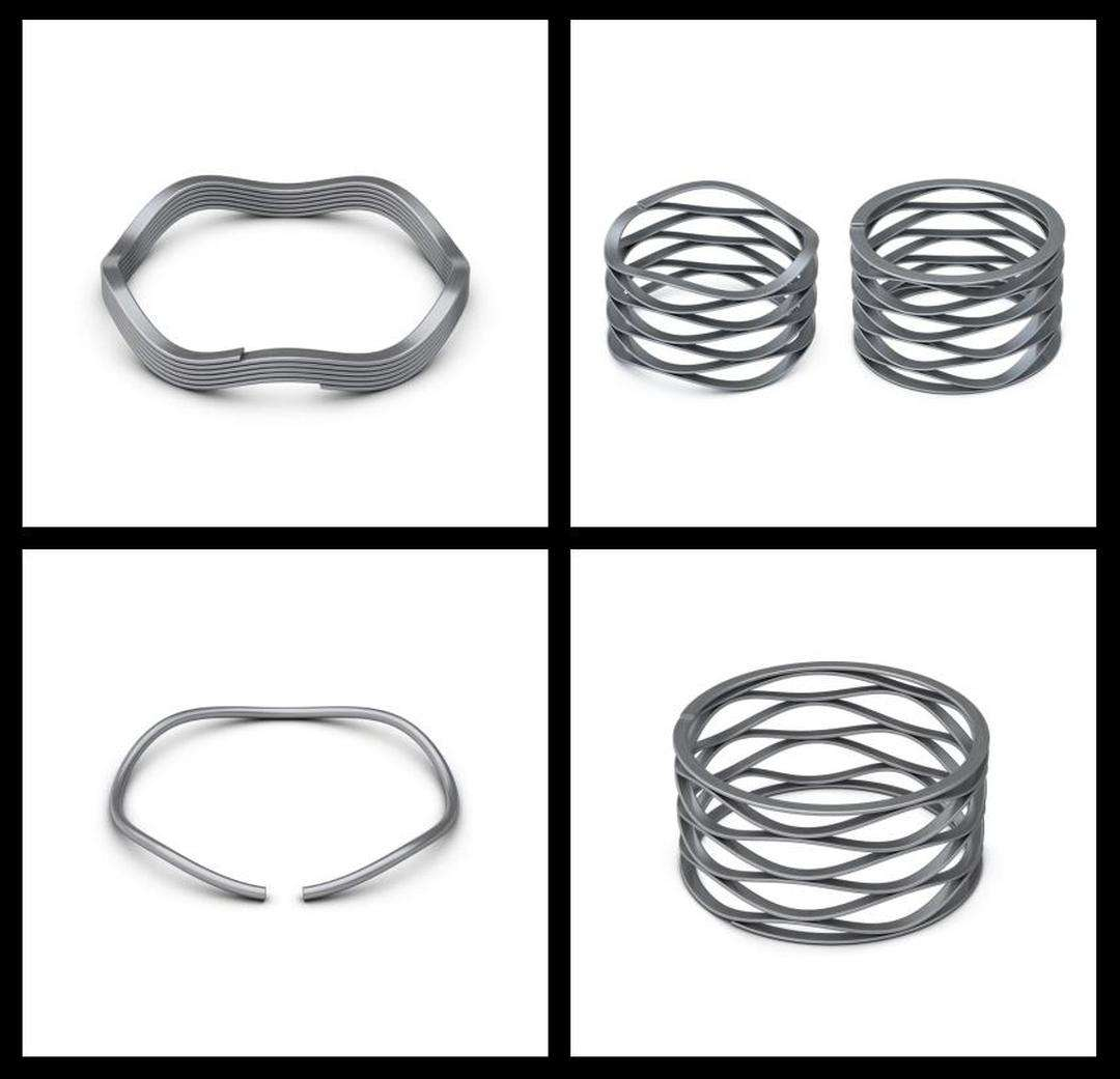 <strong>DISC spring </strong>