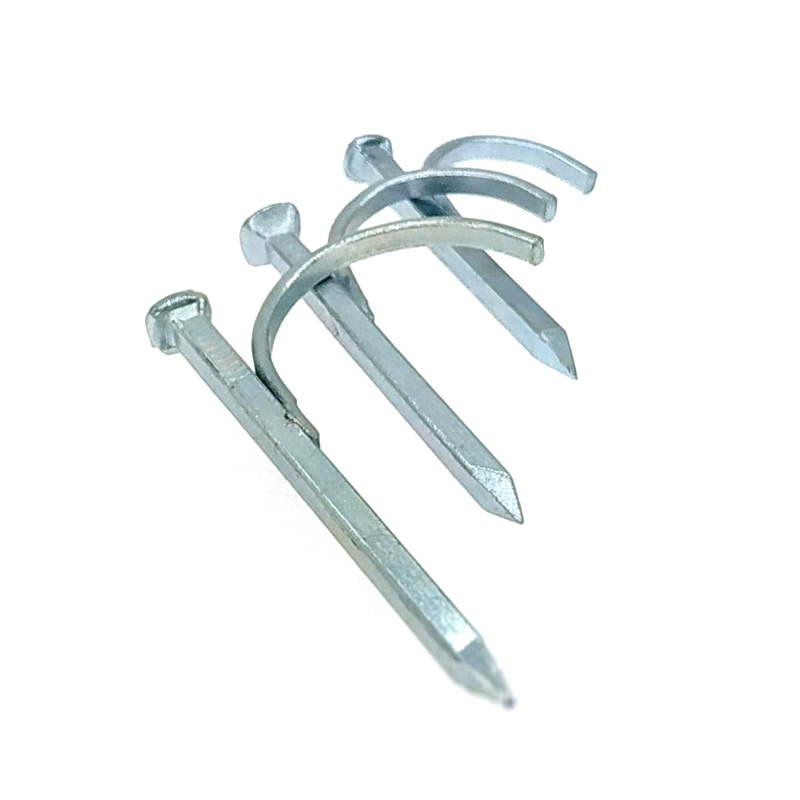 Pipe hook nails
